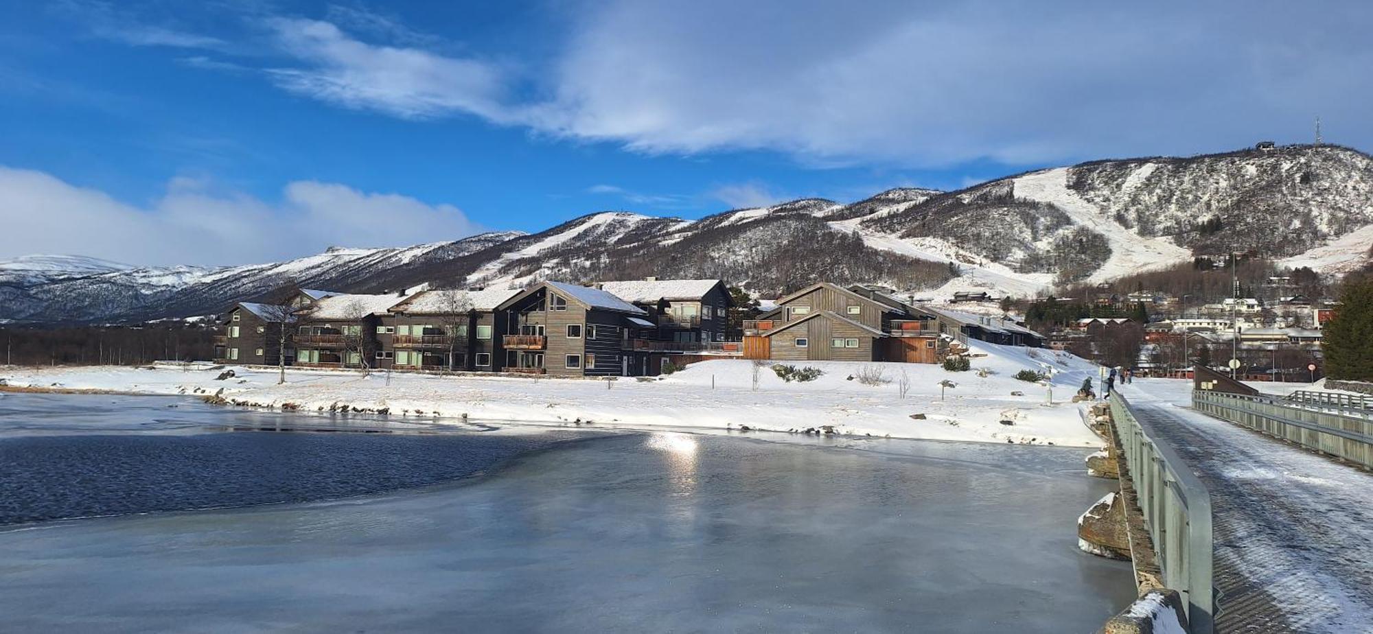 Appartement Sentral Pa Geilo